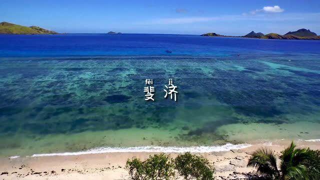 动物帮帮忙保卫家园