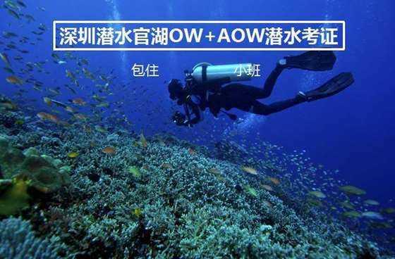 戎马丹心汉匈决战