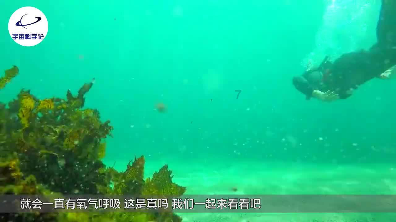 “小仙女宝宝”学走T台火了,自信满满的样子超有气场!